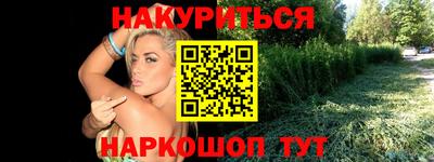 шишки Гатчина