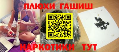 шишки Гатчина