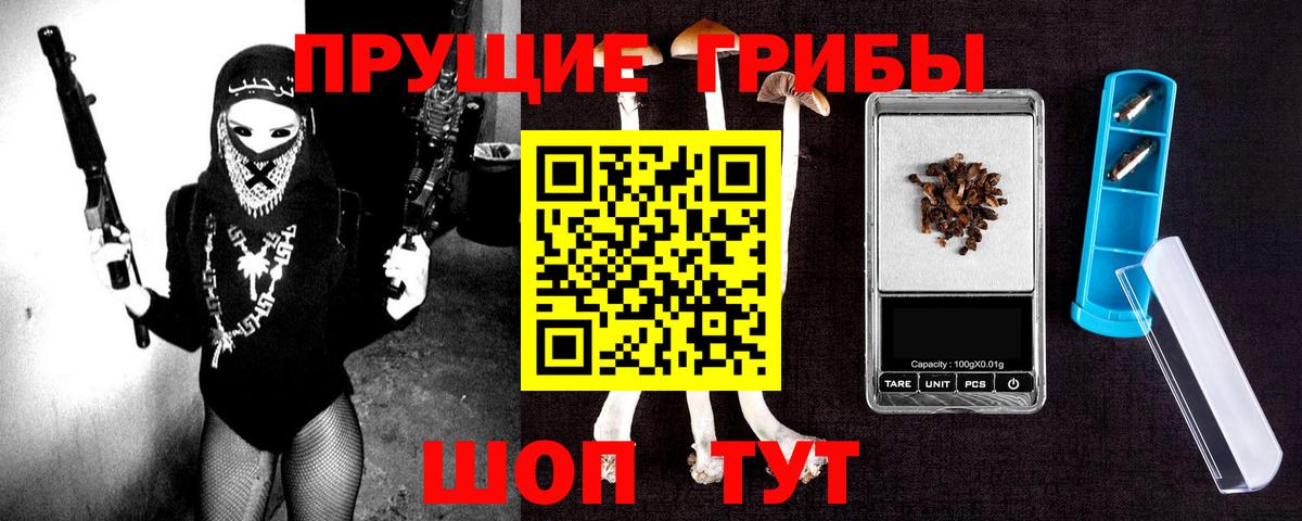 Псилоцибиновые грибы Psilocybine cubensis Белогорск