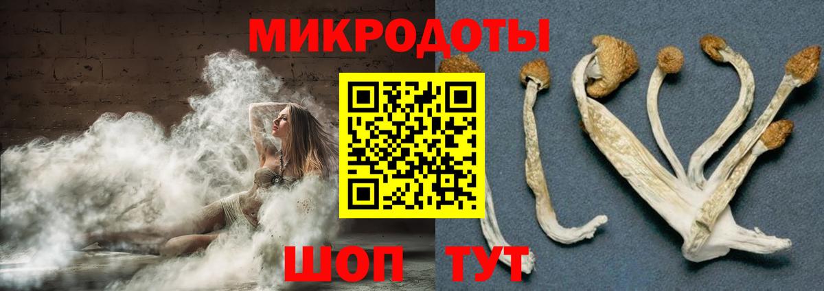 Белогорск  Псилоцибиновые грибы MAGIC MUSHROOMS  Вход с VPN 